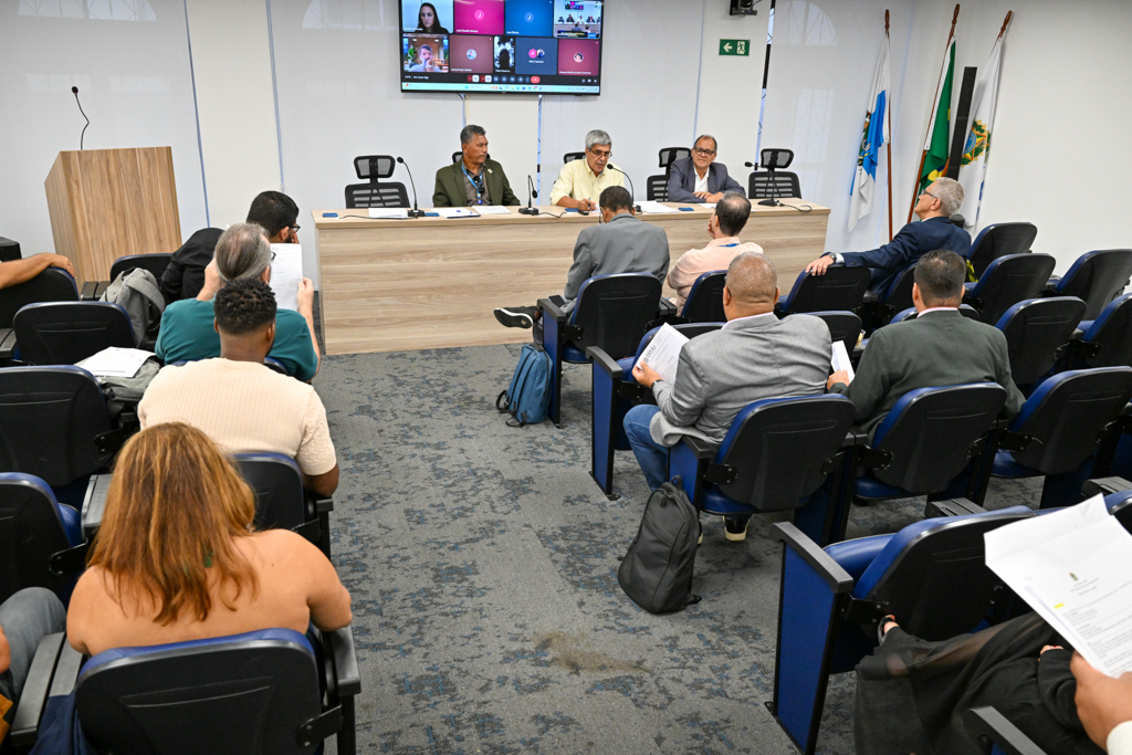 Plenária do CRT